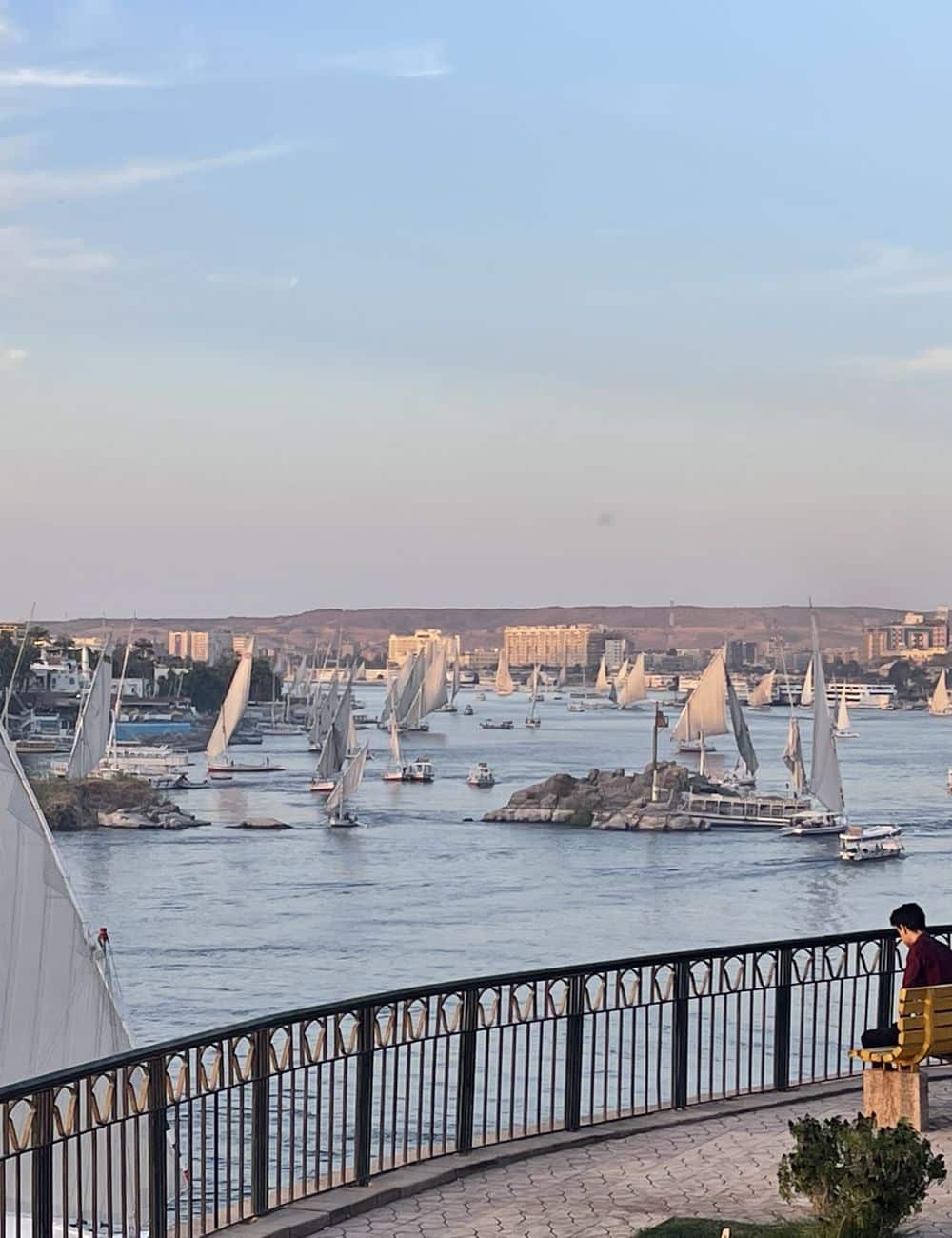 Feluccas under sail on the Nile at Aswan, Egypt